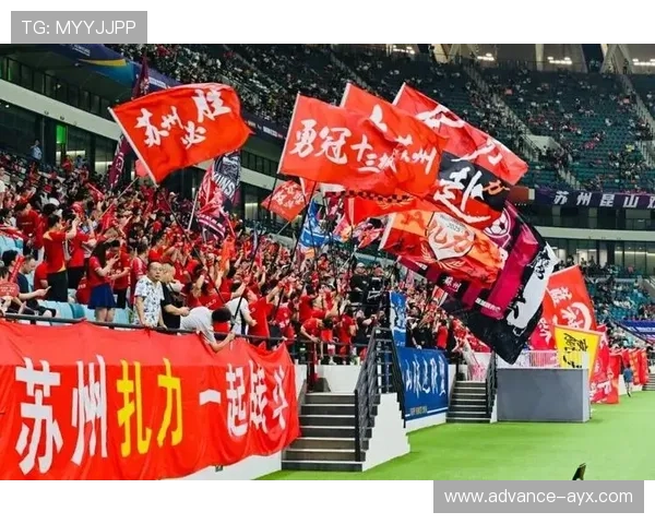 中超劲旅重磅引援引发球迷热议新赛季展望备受关注