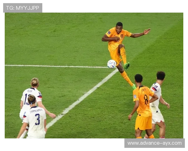 荷兰世界杯回顾与辉煌瞬间全景解析